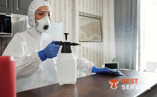 Дезинфекция в Кингисеппе