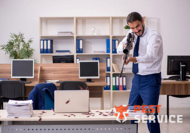 Разработка программ и проведение пест-контроля (pest control) в Кингисеппе от 5000 руб. Консультация и документальное сопровождение физических и юридических лиц.