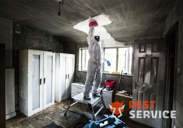 Профессиональная уборка помещений после пожара в Кингисеппе от 2500 руб: удаление сажи, копоти и запаха гари, глубокая очистка поверхностей и восстановление чистоты. Быстро, безопасно и эффективно.