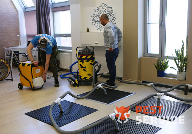 Профессиональная сушка после потопа в Кингисеппе от 3000 руб. Быстро устраняем влагу, предотвращаем плесень и повреждения. Современное оборудование и опытные специалисты. Безопасно и эффективно.